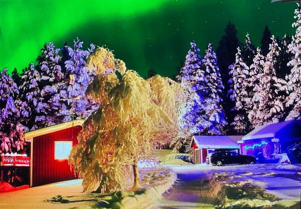 Lakeside Wilderness Cabin Jokkmokk Bagian luar foto