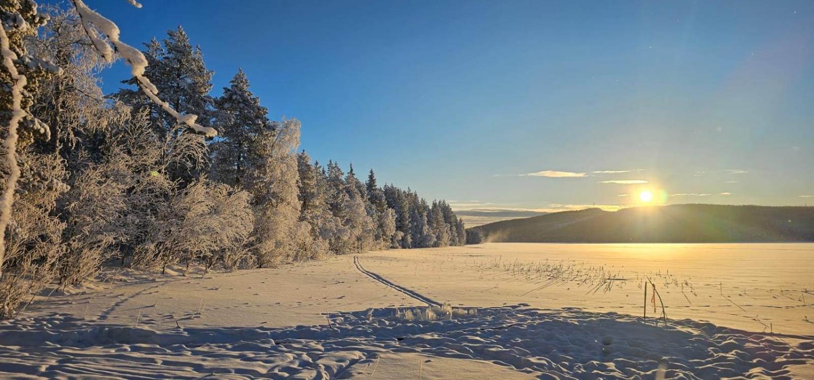 Lakeside Wilderness Cabin Jokkmokk Bagian luar foto