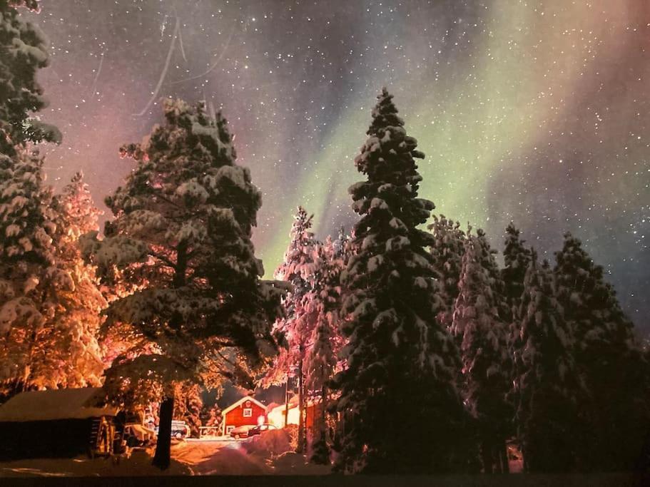Lakeside Wilderness Cabin Jokkmokk Bagian luar foto