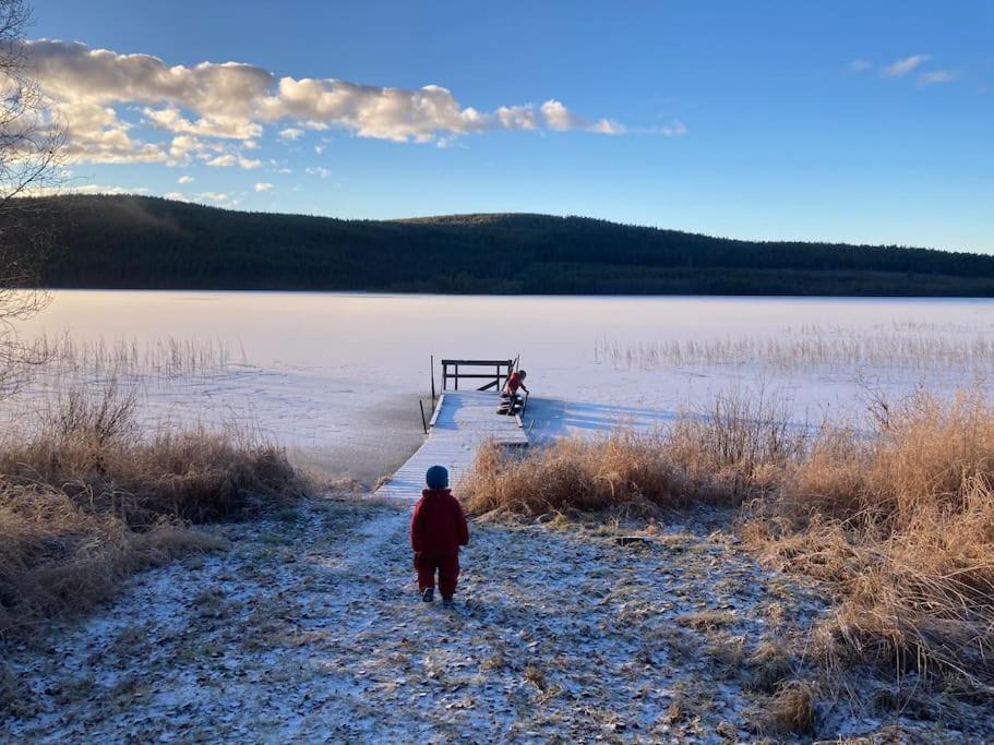 Lakeside Wilderness Cabin Jokkmokk Bagian luar foto
