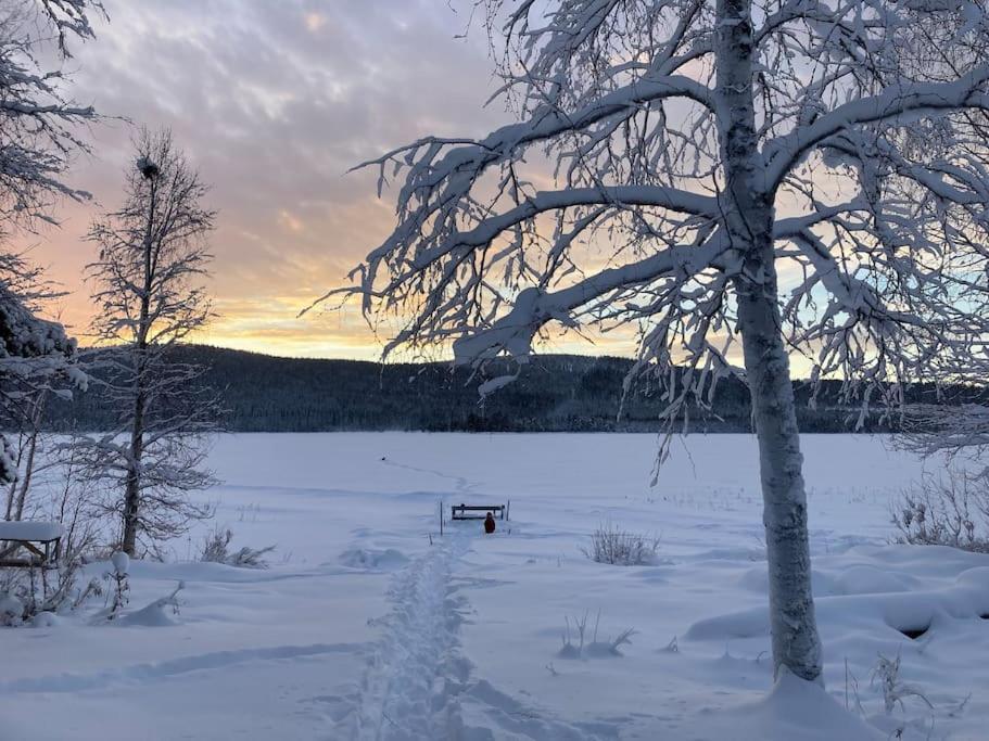 Lakeside Wilderness Cabin Jokkmokk Bagian luar foto