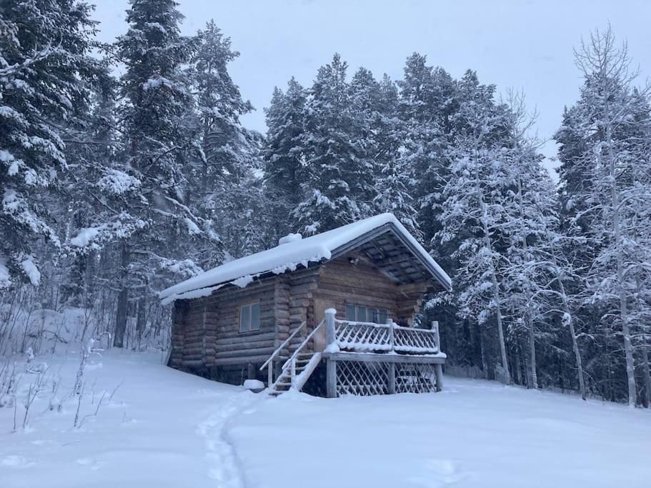 Lakeside Wilderness Cabin Jokkmokk Bagian luar foto