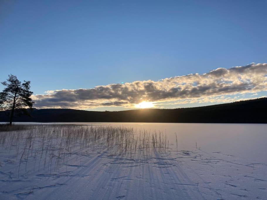 Lakeside Wilderness Cabin Jokkmokk Bagian luar foto